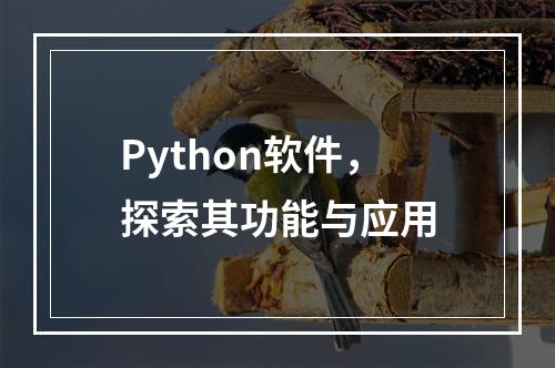 Python软件,探索其功能与应用