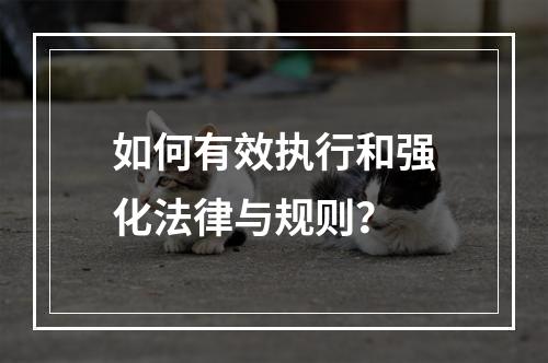 如何有效执行和强化法律与规则?