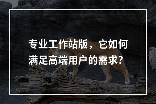 专业工作站版,它如何满足高端用户的需求?