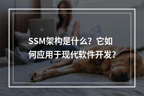SSM架构是什么?它如何应用于现代软件开发?