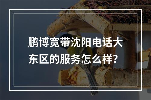 鹏博宽带沈阳电话大东区的服务怎么样?