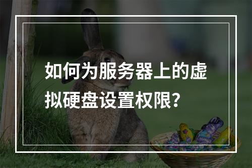 如何为服务器上的虚拟硬盘设置权限?