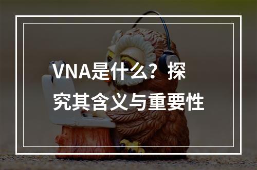 VNA是什么?探究其含义与重要性