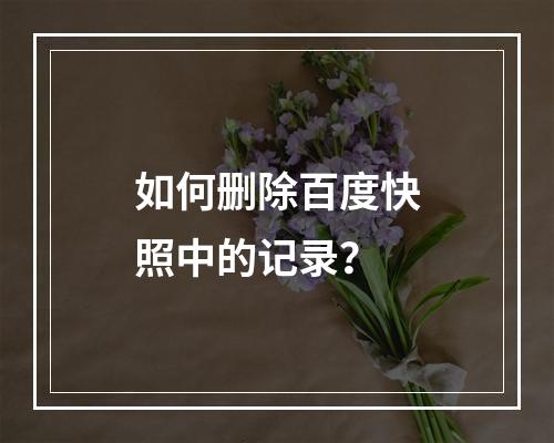 如何删除百度快照中的记录?