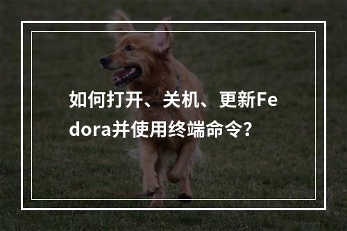 如何打开、关机、更新Fedora并使用终端命令?