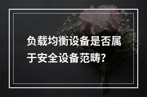 负载均衡设备是否属于安全设备范畴?