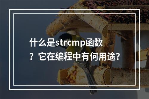 什么是strcmp函数?它在编程中有何用途?