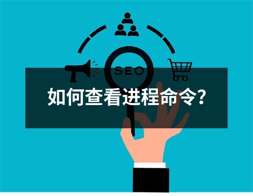 如何查看进程命令?
