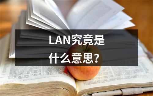 LAN究竟是什么意思?
