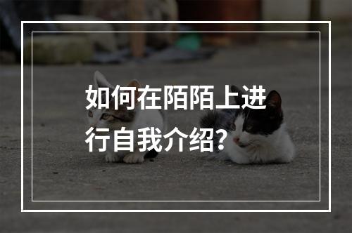 如何在陌陌上进行自我介绍?
