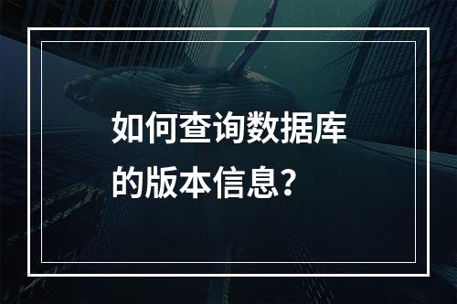 如何查询数据库的版本信息?