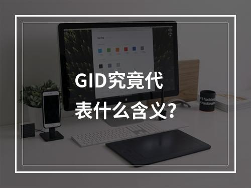 GID究竟代表什么含义?