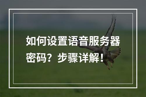 如何设置语音服务器密码?步骤详解!