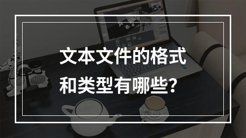 文本文件的格式和类型有哪些?
