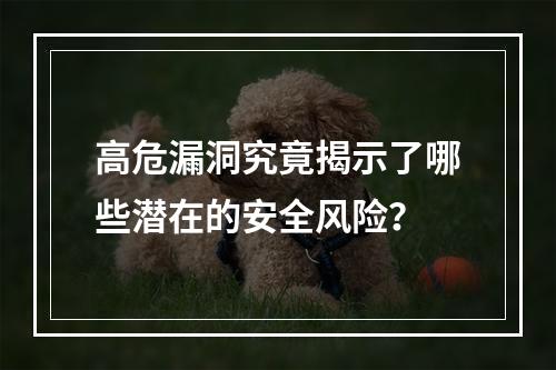 高危漏洞究竟揭示了哪些潜在的安全风险?