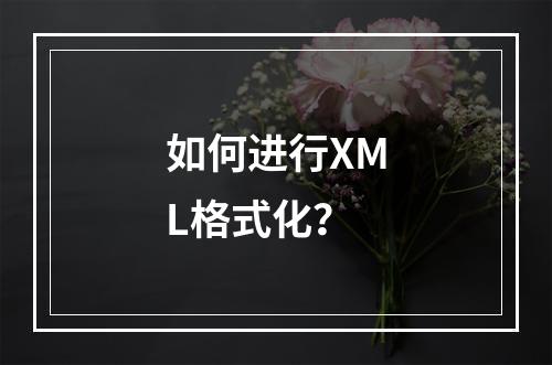 如何进行XML格式化?