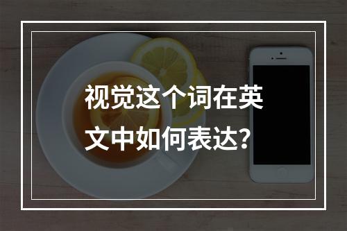 视觉这个词在英文中如何表达?