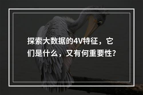 探索大数据的4V特征,它们是什么,又有何重要性?