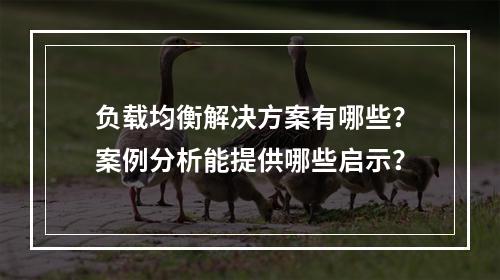 负载均衡解决方案有哪些?案例分析能提供哪些启示?