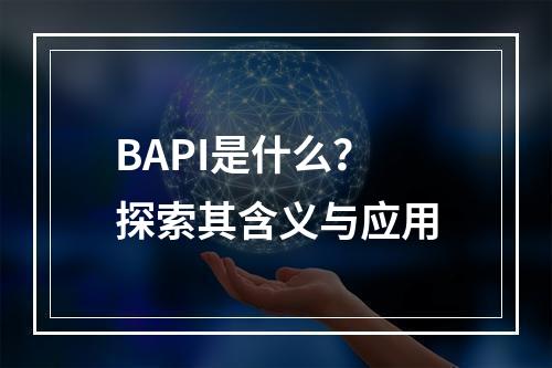 BAPI是什么?探索其含义与应用