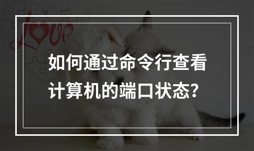 如何通过命令行查看计算机的端口状态?