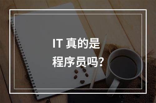 IT 真的是程序员吗?