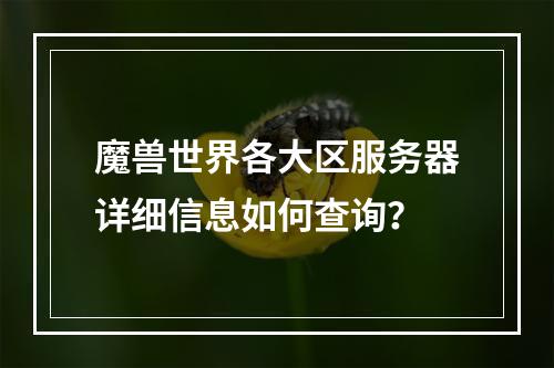 魔兽世界各大区服务器详细信息如何查询?