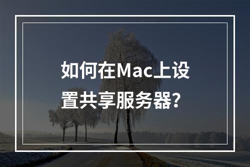 如何在Mac上设置共享服务器?