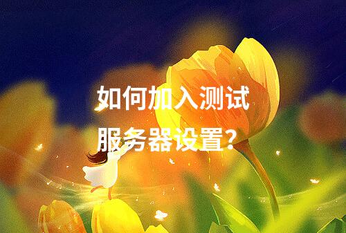 如何加入测试服务器设置?