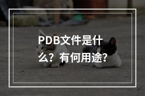 PDB文件是什么?有何用途?