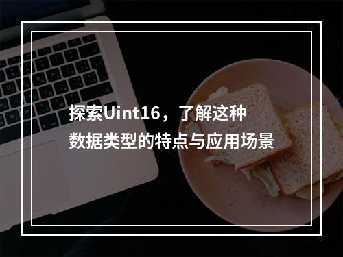 探索Uint16,了解这种数据类型的特点与应用场景