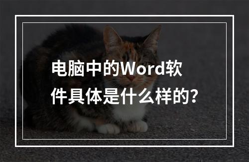 电脑中的Word软件具体是什么样的?
