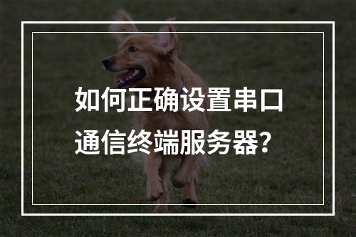如何正确设置串口通信终端服务器?
