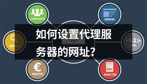 如何设置代理服务器的网址?