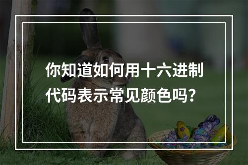 你知道如何用十六进制代码表示常见颜色吗?