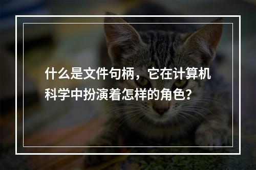 什么是文件句柄,它在计算机科学中扮演着怎样的角色?