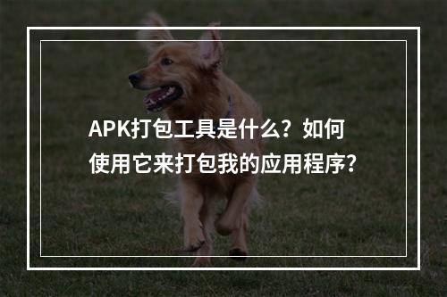 APK打包工具是什么?如何使用它来打包我的应用程序?