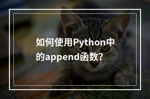 如何使用Python中的append函数?