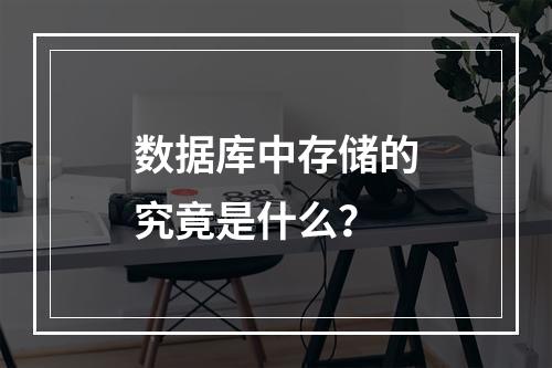 数据库中存储的究竟是什么?