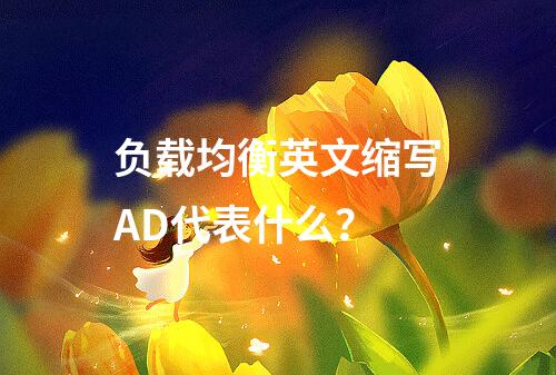 负载均衡英文缩写AD代表什么?