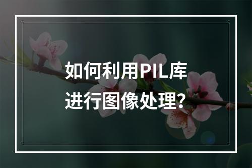 如何利用PIL库进行图像处理?