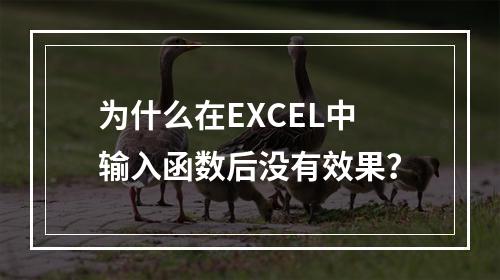 为什么在EXCEL中输入函数后没有效果?