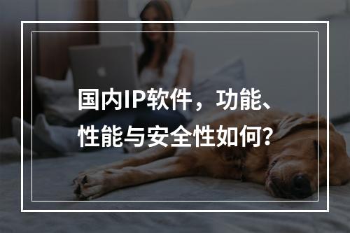 国内IP软件,功能、性能与安全性如何?