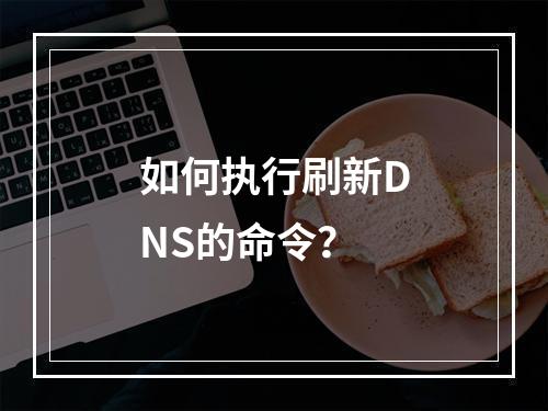 如何执行刷新DNS的命令?