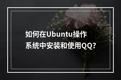 如何在Ubuntu操作系统中安装和使用QQ?