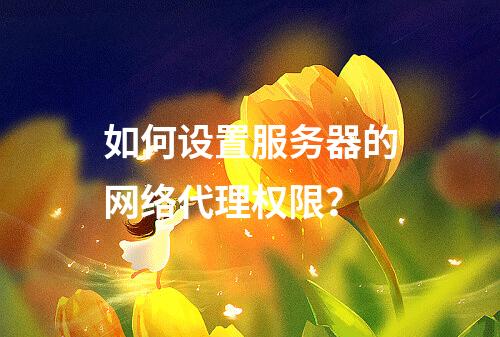 如何设置服务器的网络代理权限?