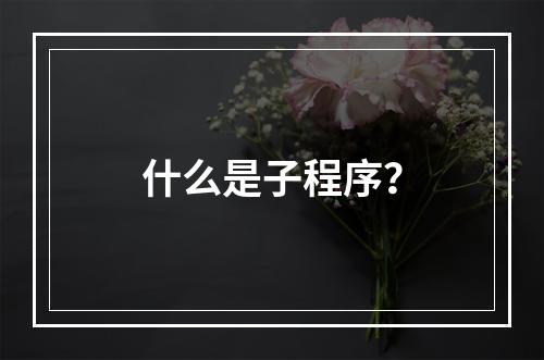 什么是子程序?
