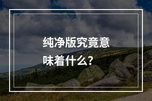 纯净版究竟意味着什么?