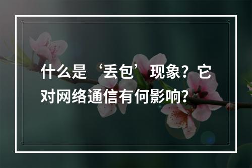 什么是‘丢包’现象?它对网络通信有何影响?