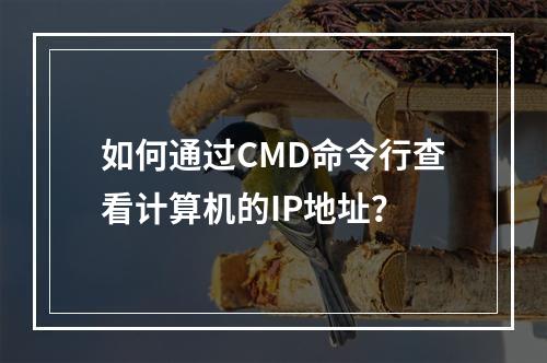 如何通过CMD命令行查看计算机的IP地址?